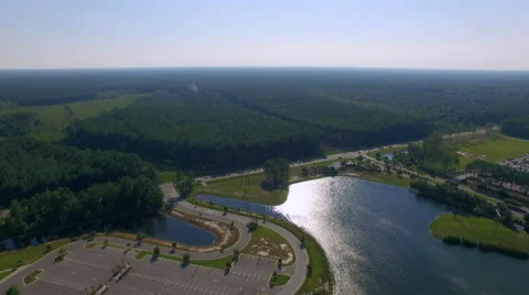 Clearing trees for a new road 库存影片 54346594