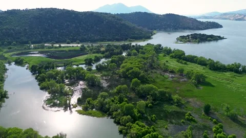 Clearlake Marsh Stock Footage 259896016