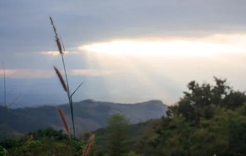 Clearly horizon sunlight from cloud rays to green hill Stock Photos