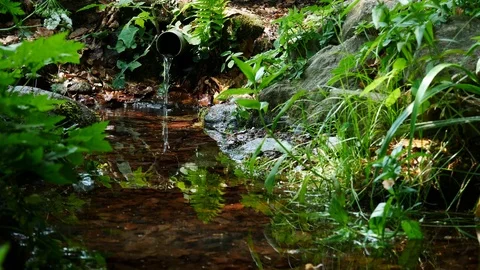 Clearly stream of water in clear forest, ecological environment Stock Footage 95486173