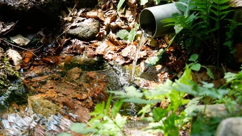 Clearly stream of water in clear forest, ecological environment Stock Footage 98214940