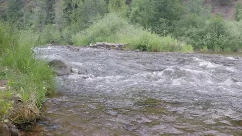 Clearwater flows down the mountain river. Stock Footage 93497471