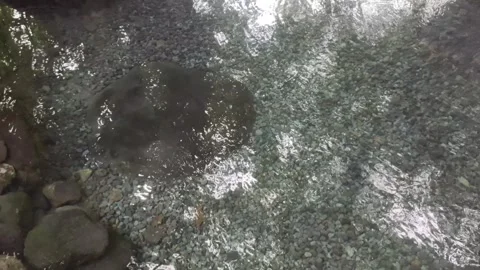 ClearWater from  A Natural Spring Stock-Footage 303301407