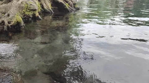 ClearWater from  A Natural Spring Stock Footage 303302563