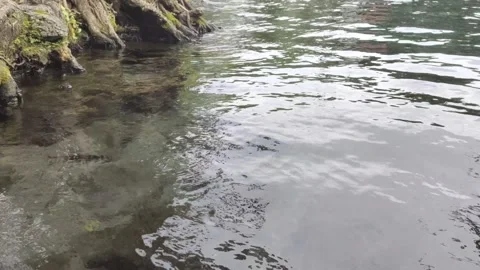 ClearWater from  A Natural Spring Stock Footage 303302742