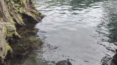 ClearWater from  A Natural Spring Stock Footage 303302758
