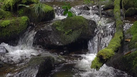 Clearwater stream flowing in slow motion among mossy boulders Stock Footage