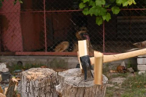 The cleaver split the log into firewood. Stock Photos