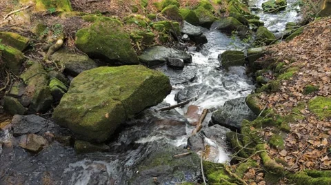 Cleddon Falls waterfall River Wye, autumn leaves as water runs through rocks Stock Footage 69070341