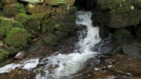 Cleddon Falls waterfall River Wye, water rushes past moss covered rocks Stock Footage 69070758