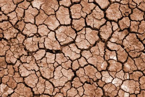 Cleft on dried earth Stock Photos