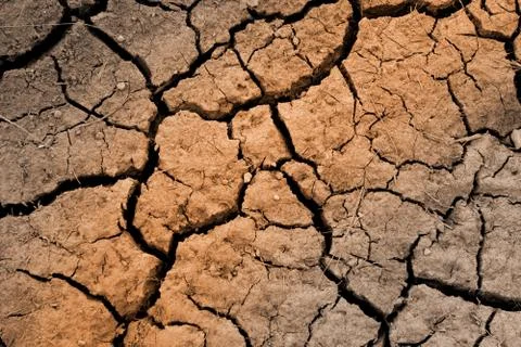 Cleft on dried earth Stock Photos