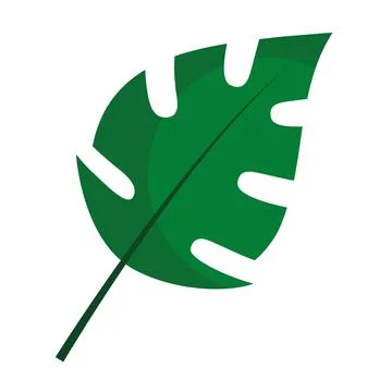 Cleft leaf plant flat style icon Stock Illustration