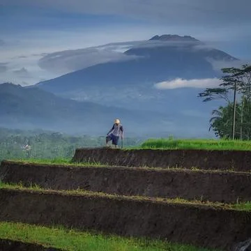 Cleft mountain Central Java Stock Photos