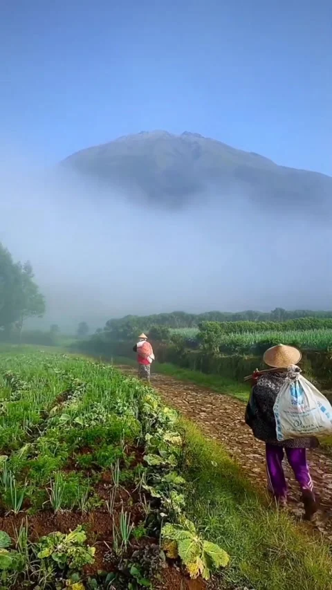 Cleft mountain fog 库存影片 224418804