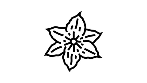 Clematis flower spring line icon animation Stock Footage 326135365