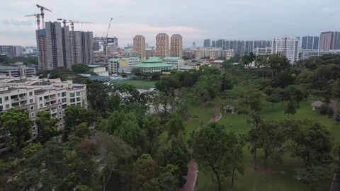 Clementi Woods 1 Stock Footage 246097792