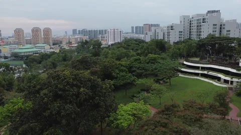 Clementi Woods 2 Stock Footage 246097783