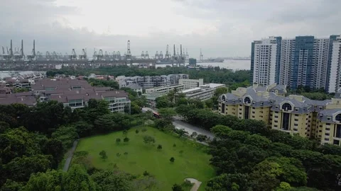 Clementi Woods 3 Stock Footage 246097780