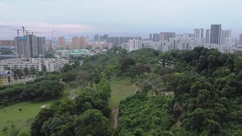 Clementi Woods 5 Stock Footage 246097894