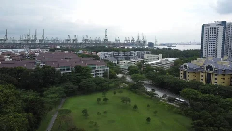 Clementi Woods 6 Stock Footage 246097802