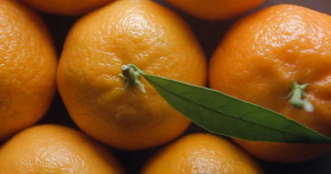 Clementine close up studio shot over rotating Stock Footage 324838650