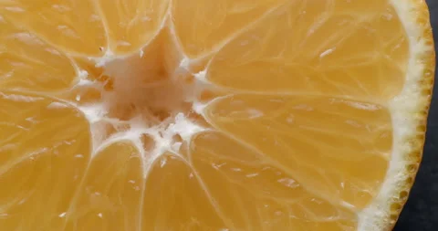 Clementine macro rotating studio 4K Stock Footage 144799453