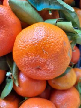 Clementine oranges fruit isolated background 写真素材