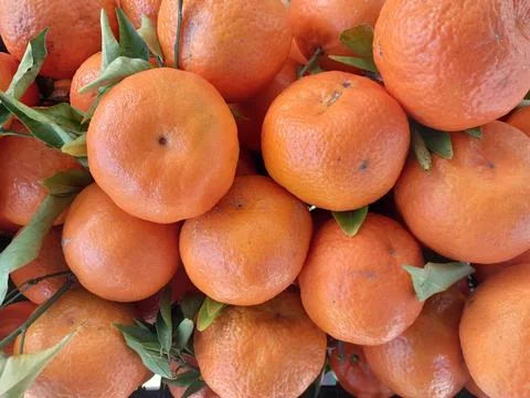 Clementine oranges fruit isolated background Фото