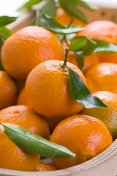Clementine oranges Stock Photos