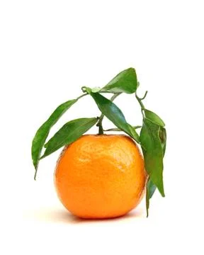 Clementine Foto stock