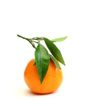 Clementine Stock Photos