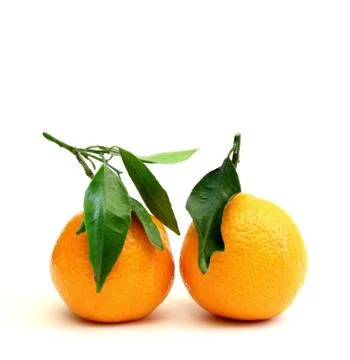 Clementines Stock Photos