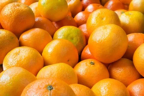 Clementines Stock Photos
