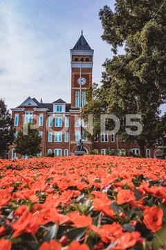 Clemson University Stock Photos