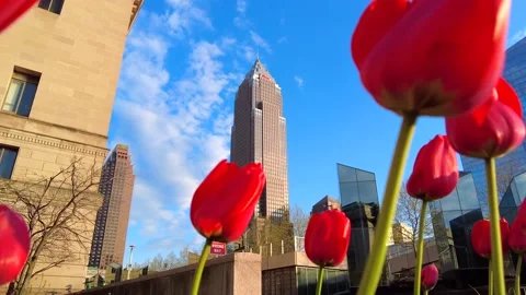 Cleveland Ohio in Spring Stock Footage 239216126