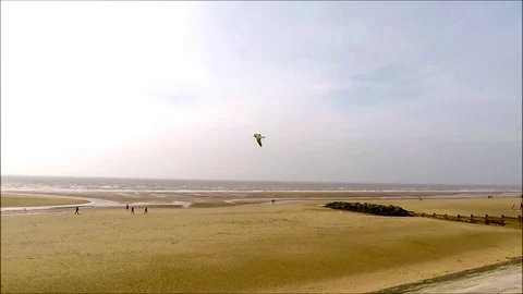Cleveleys seafront, birds flying Stock Footage 77863598