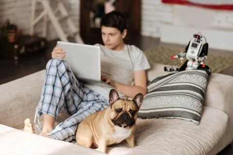 Clever boy looking at screen of his computer Foto stock