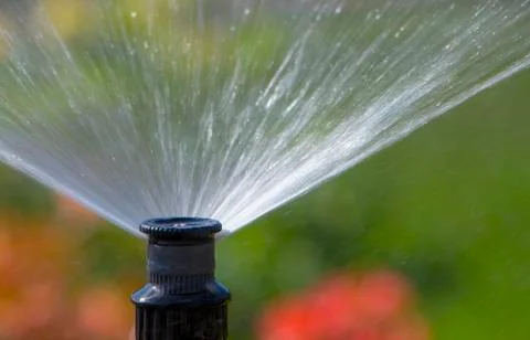 Clever garden with a fully automatic irrigation system, water azaleas. Stock Photos