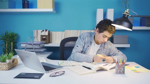 Clever kid studying at desk, using laptop, taking notes. Stock-Footage 233286148