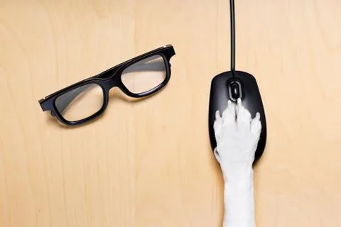 Click with paw on computer mouse Stock Photos