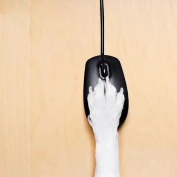 Click with paw on computer mouse Stock Photos