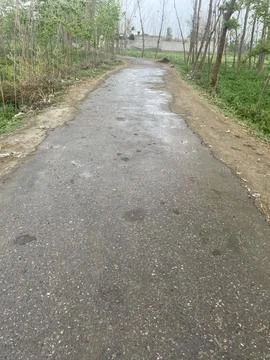 A click of road side in the rain. Stock Photos