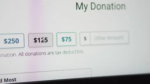 Clicking the button $125 on donation webpage Stock Footage 155287570