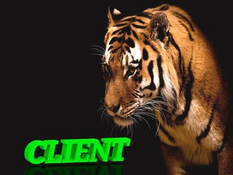 CLIENT  bright green volume letter word, animall pussy tiger on black backgro Stock Illustration