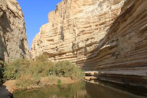 Clif patterns at Ein Avdat and Nachal Zin Natural Reserve Stock Photos