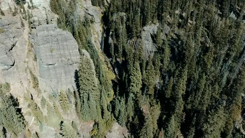 Cliff and forest pan shot Stock Footage