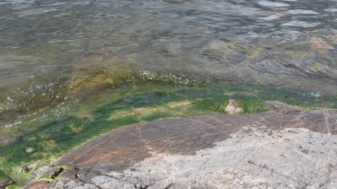 Cliff and sea. Stock Footage 246601122