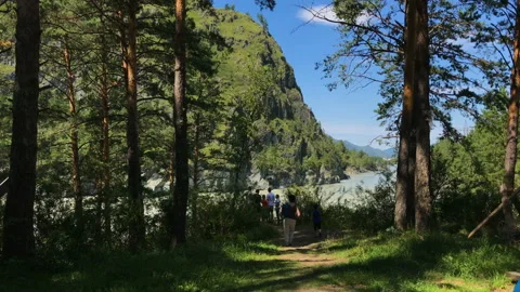 A cliff behind trees 库存影片 93030873