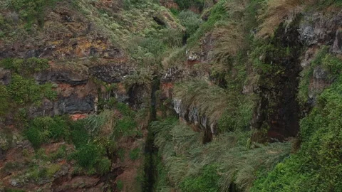 Cliff Canary Islands Stock-Footage 145369418